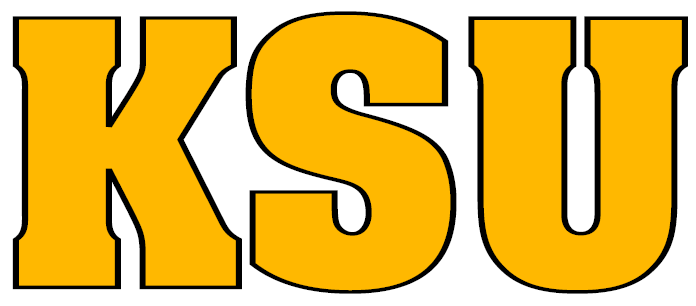 Kennesaw State Owls 0-2011 Wordmark Logo diy iron on heat transfer